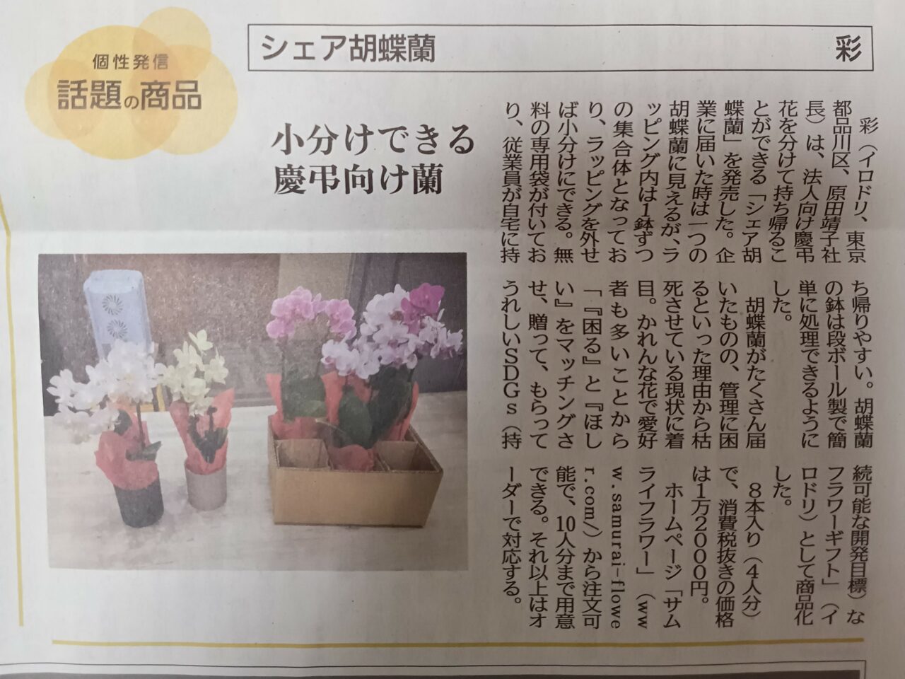 みんなで分けて持って帰れる「シェア胡蝶蘭」を日刊工業新聞社様にご