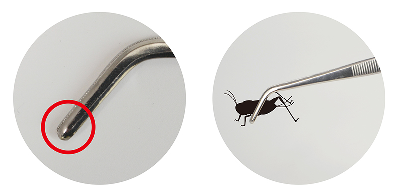 レプティピンセット エルボー ｜ 株式会社三晃商会