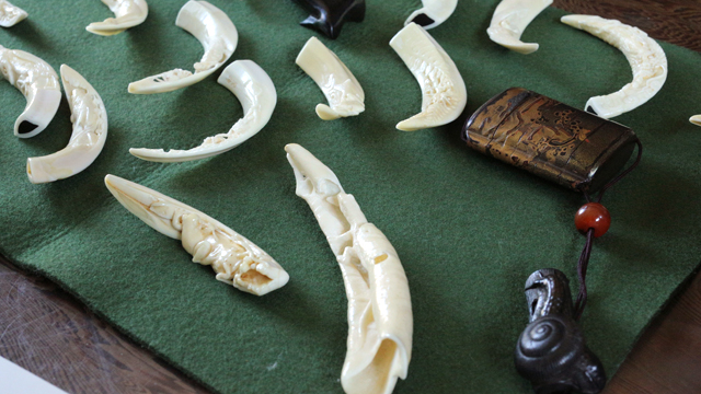 探県記 Vol.135｜山陰いいもの探県記｜山陰いいもの探県隊