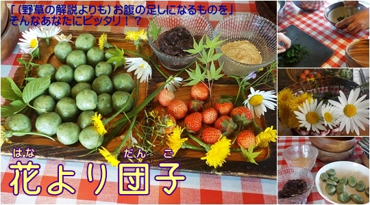 花より団子（だんご）