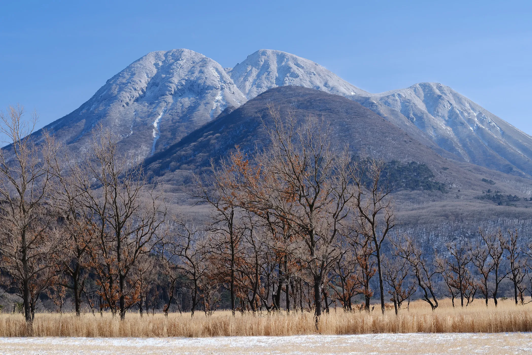 相原正明フォトエッセイ テーマ「冬景色 Winter Scenery」 ｜from OITA