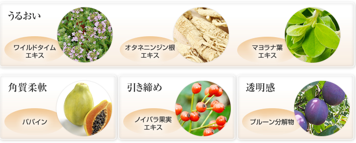 SantéAge [サンテアージュ] - NINAPHARM JAPON｜ポジティブ