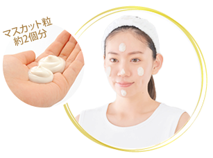 SantéAge [サンテアージュ] - NINAPHARM JAPON｜ポジティブ