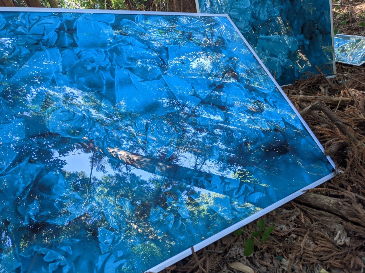 宗像の樹影 | 燦然たるオブジェたち Vol.2 宗像にて