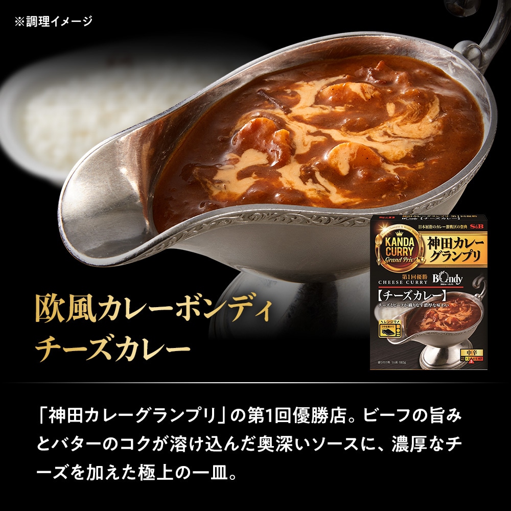 レトルトカレー神田カレーグランプリ8種類セット（送料無料）: セット