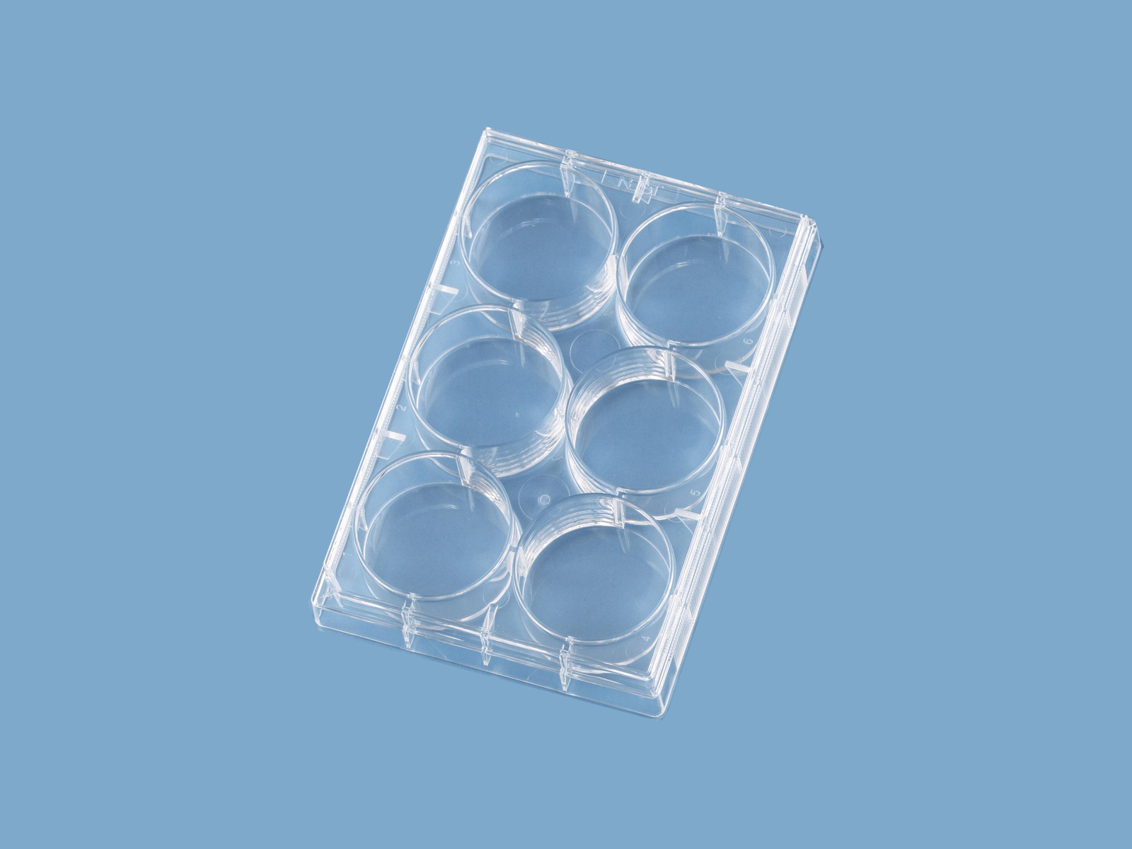 セルプレート（マイクロプレート）6セル（1個）