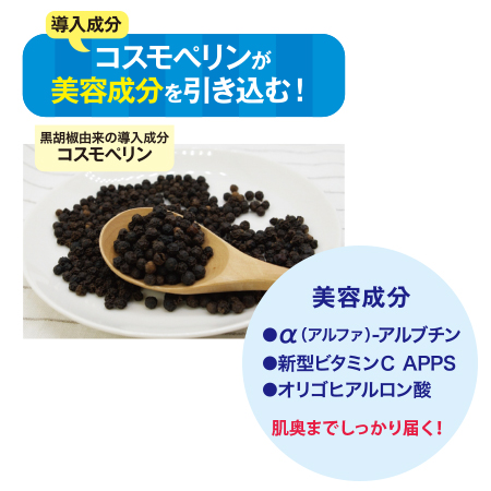 アルファホワイトローション |エスコス