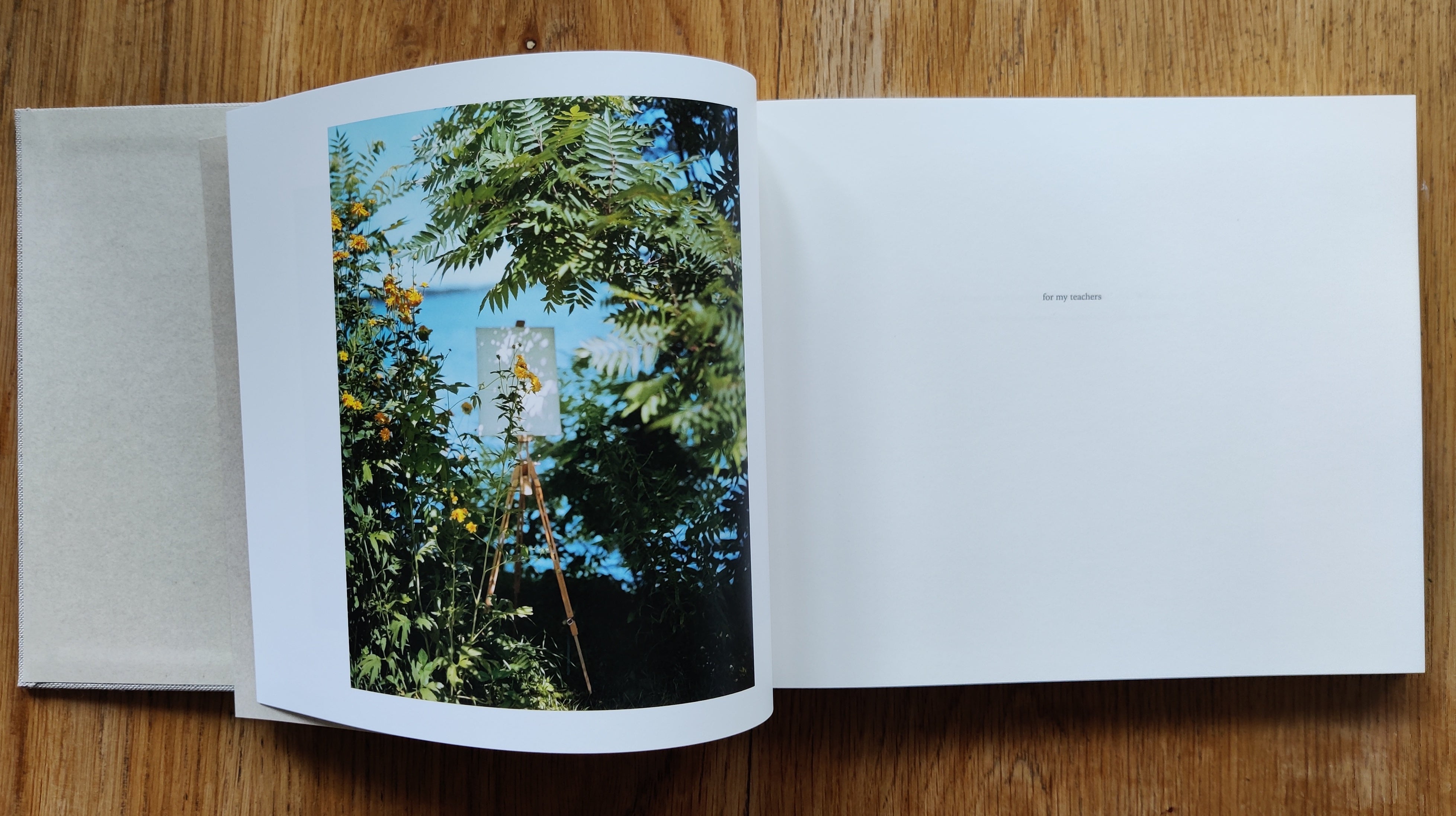 Buy A Pound of Pictures - Special Edition by Alec Soth Online