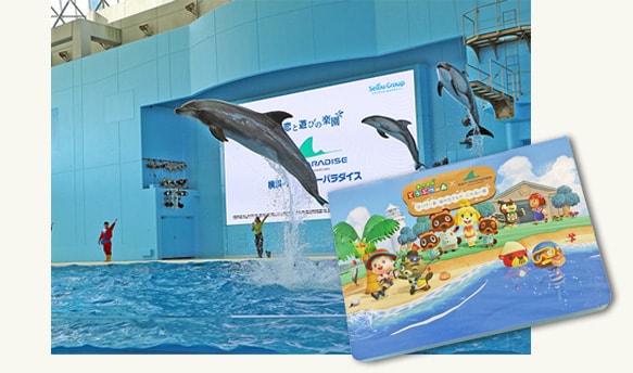 あつまれ どうぶつの森”×横浜・八景島シーパラダイス はっけい島 海の