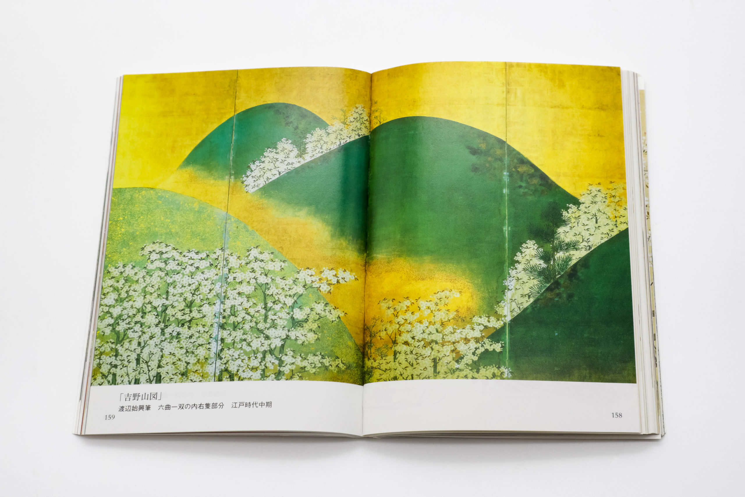 桜さくら｜青幻舎 SEIGENSHA Art Publishing, Inc.