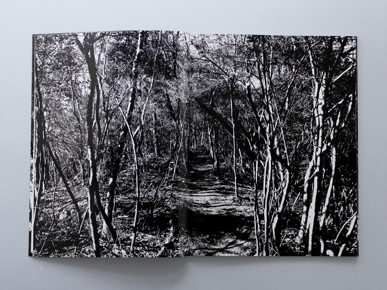 flicker｜青幻舎 SEIGENSHA Art Publishing, Inc.