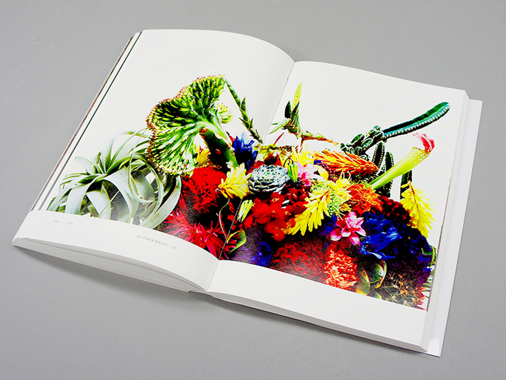 ENCYCLOPEDIA OF FLOWERS Ⅲ 植物図鑑｜青幻舎 SEIGENSHA Art