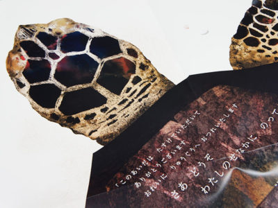 Big Book うらしまたろう｜青幻舎 SEIGENSHA Art Publishing, Inc.