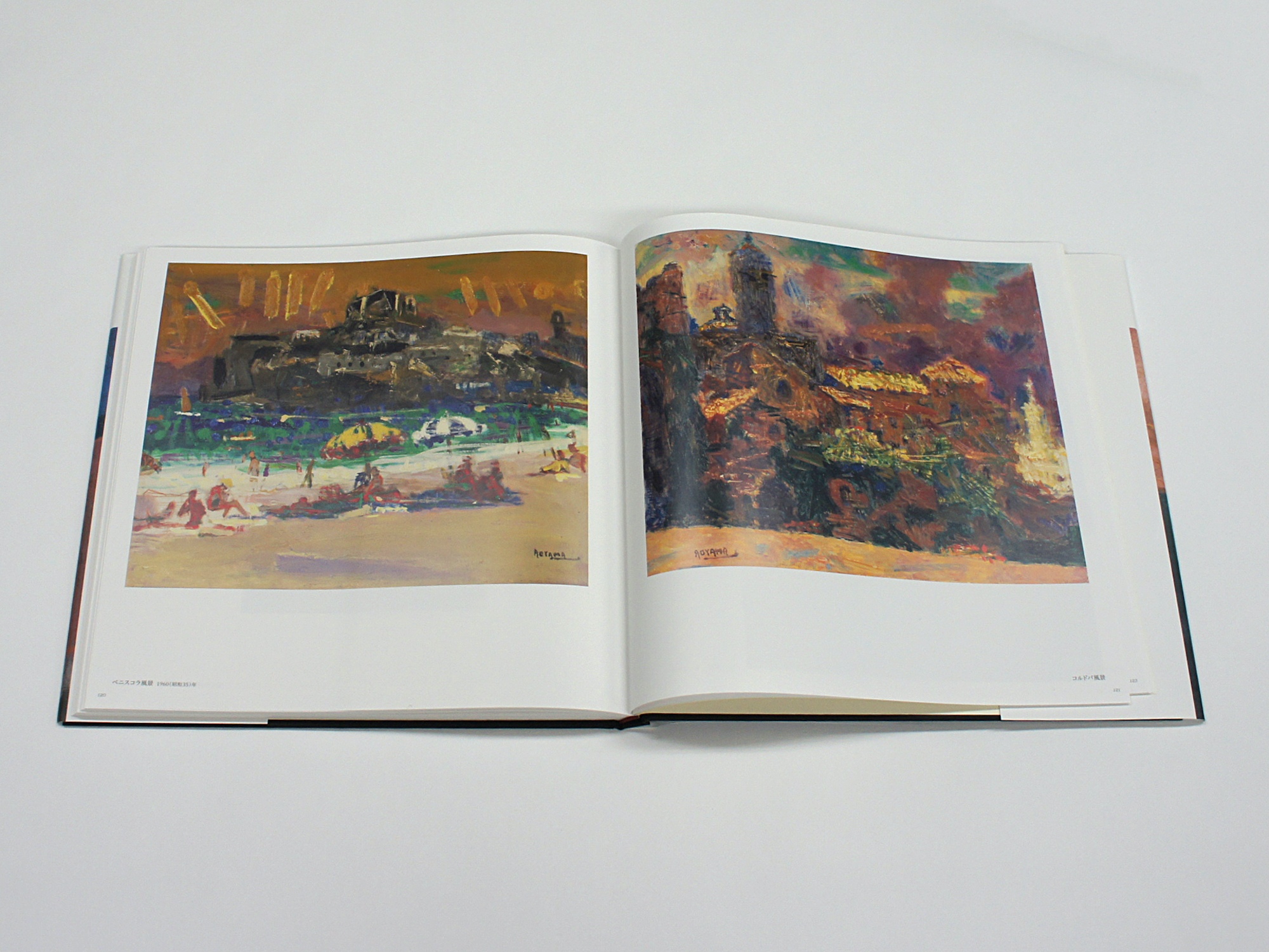 青山義雄画集I｜青幻舎 SEIGENSHA Art Publishing, Inc.