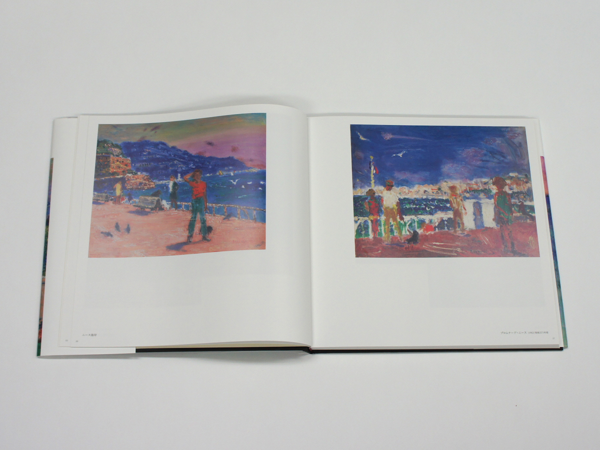 青山義雄画集II｜青幻舎 SEIGENSHA Art Publishing, Inc.