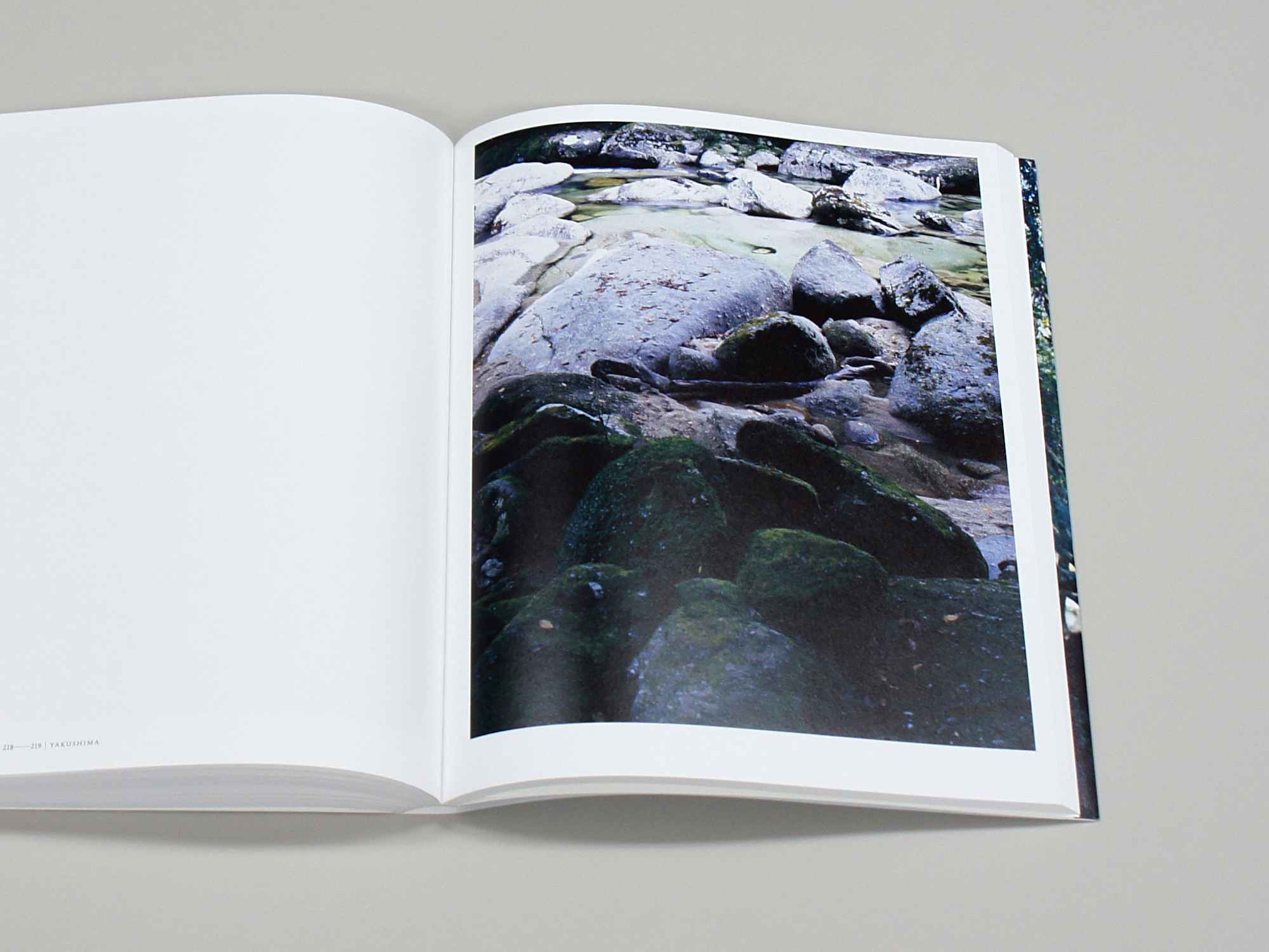 上田義彦写真集 FOREST 印象と記憶 1989-2017｜青幻舎 SEIGENSHA Art