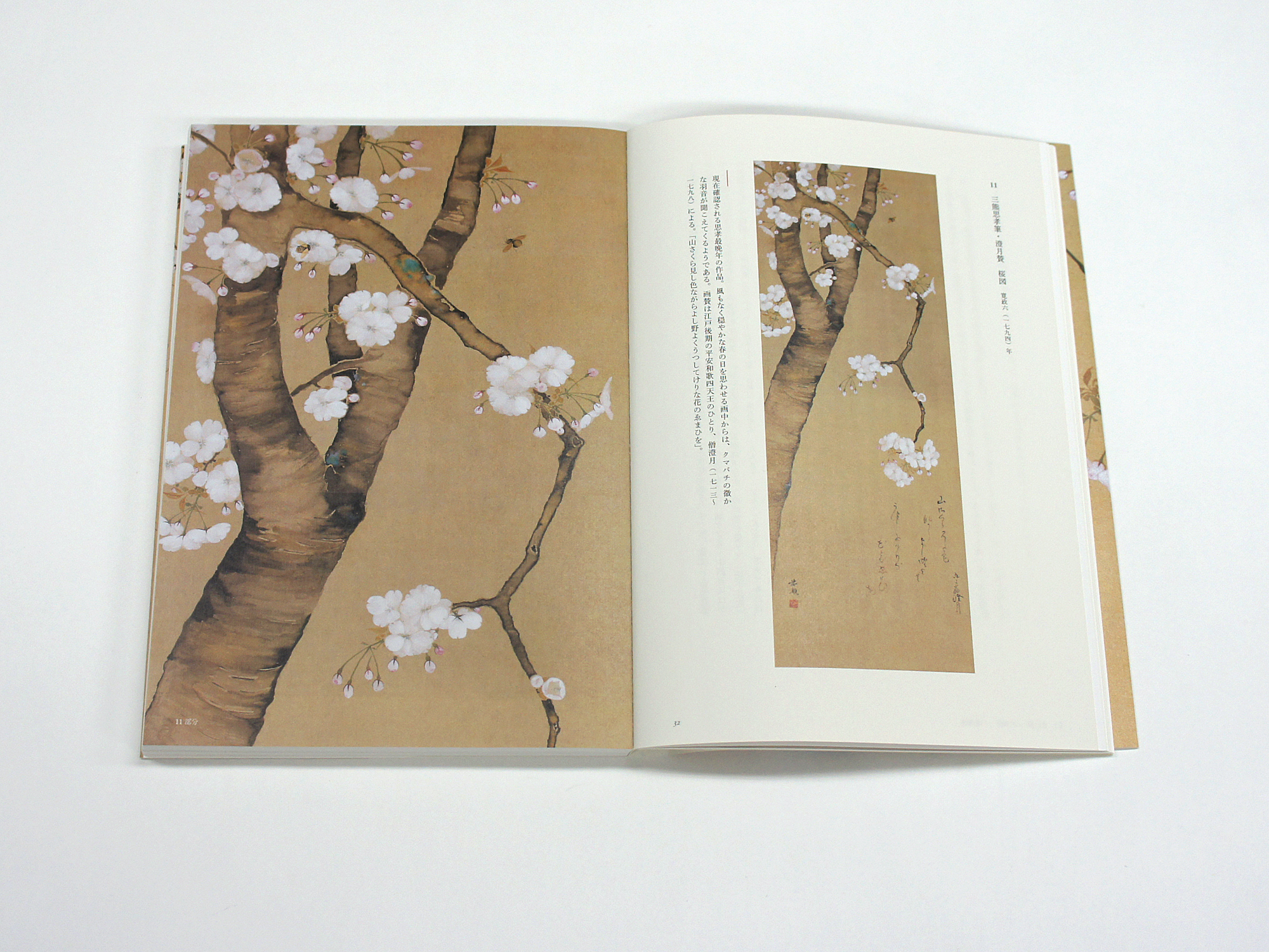 桜狂の譜 江戸の桜画世界｜青幻舎 SEIGENSHA Art Publishing, Inc.
