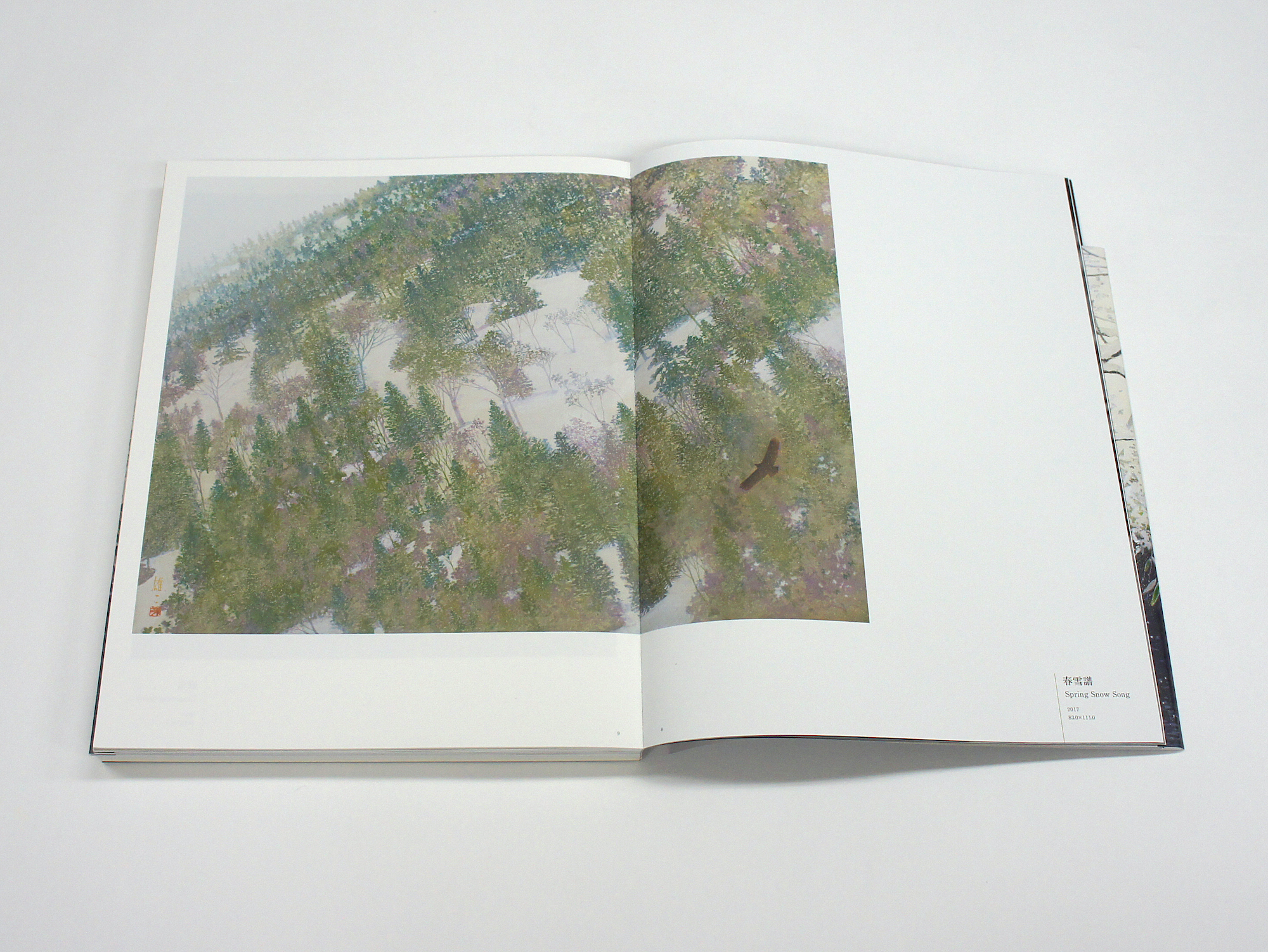 手塚雄二作品集 光を聴き、風を視る｜青幻舎 SEIGENSHA Art Publishing