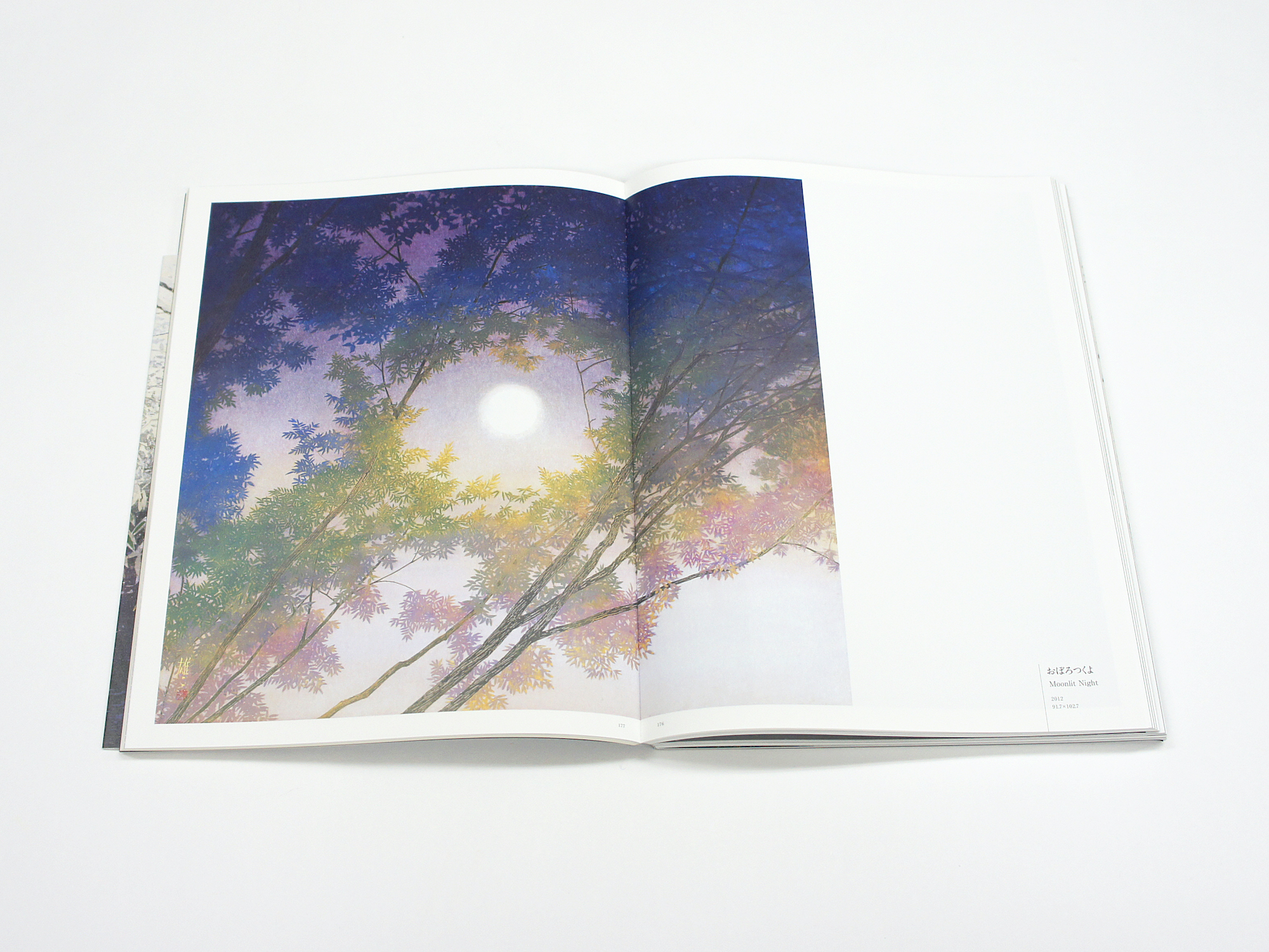 手塚雄二作品集 光を聴き、風を視る｜青幻舎 SEIGENSHA Art Publishing