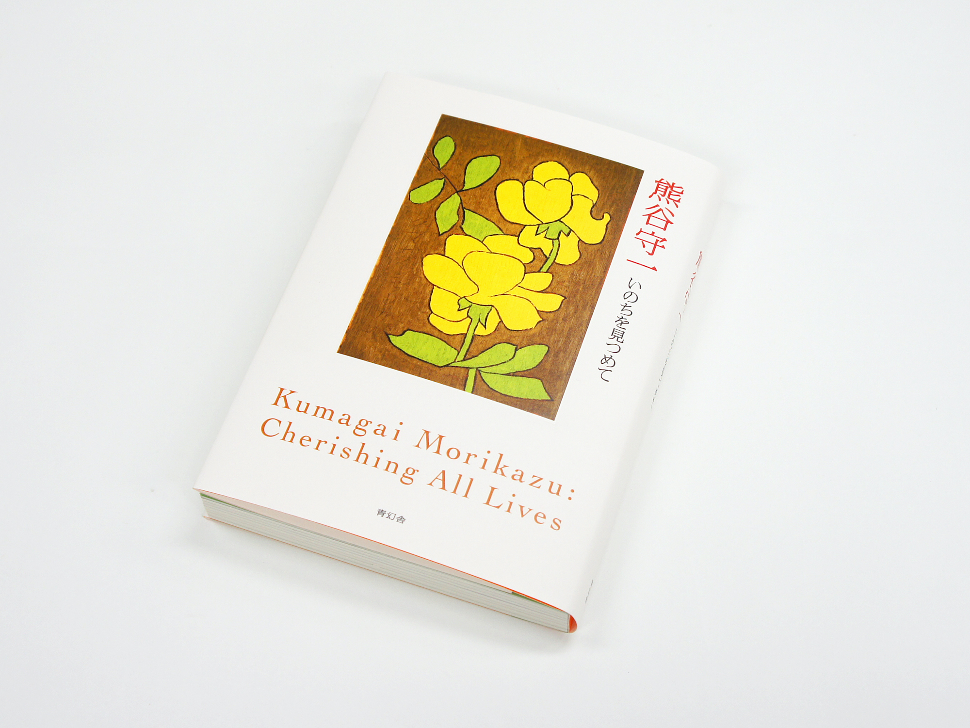 熊谷守一 いのちを見つめて｜青幻舎 SEIGENSHA Art Publishing, Inc.