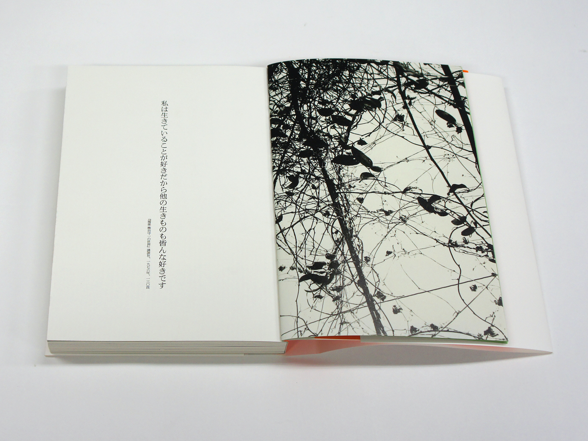 熊谷守一 いのちを見つめて｜青幻舎 SEIGENSHA Art Publishing, Inc.