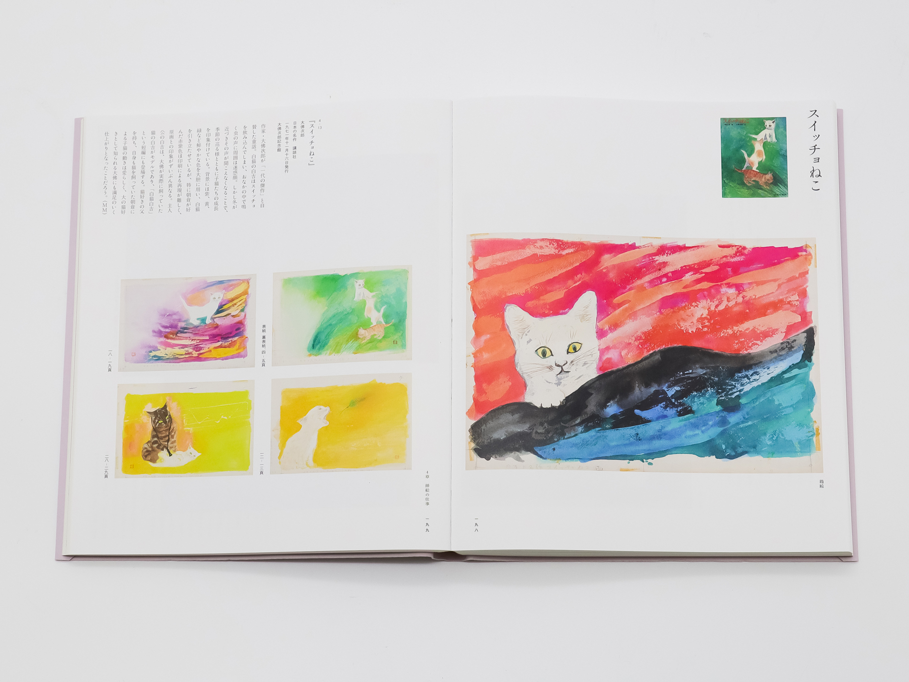 朝倉摂の見つめた世界 絵画と舞台と絵本と｜青幻舎 SEIGENSHA Art