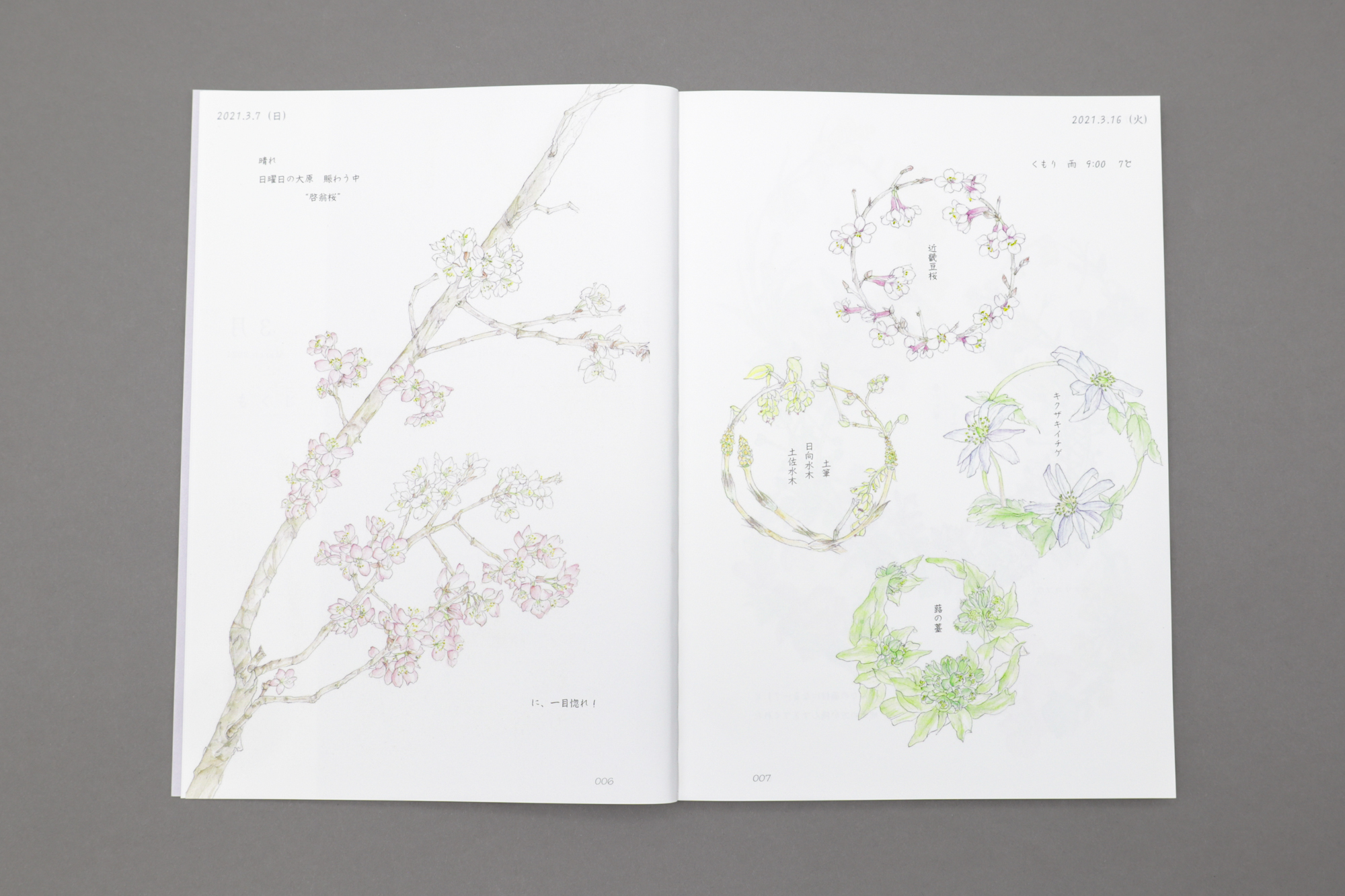 草花の便り -京都大原「里の駅」より-｜青幻舎 SEIGENSHA Art