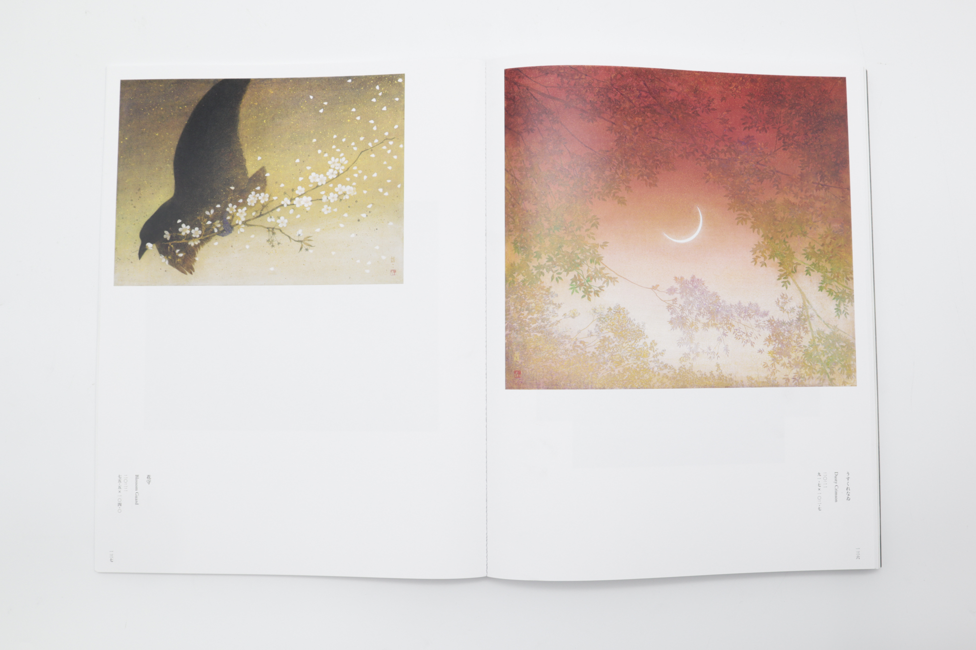 手塚雄二作品集 雲は龍に従う｜青幻舎 SEIGENSHA Art Publishing, Inc.