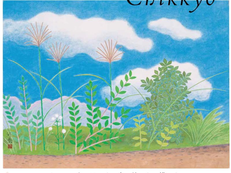 笠岡市立竹喬美術館名品集 うつりゆく自然を描く 小野竹喬の世界｜青幻