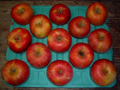 葉とらずりんごサンふじお徳用｜産地直送｜信州・小布施