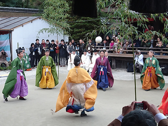 蹴鞠初め｜せんねん灸