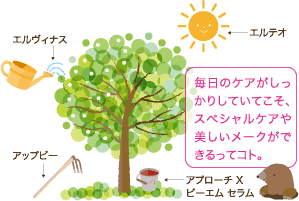 アプローチ X、アップビー発売 | きれいのレシピ by セプテムプロダクツ