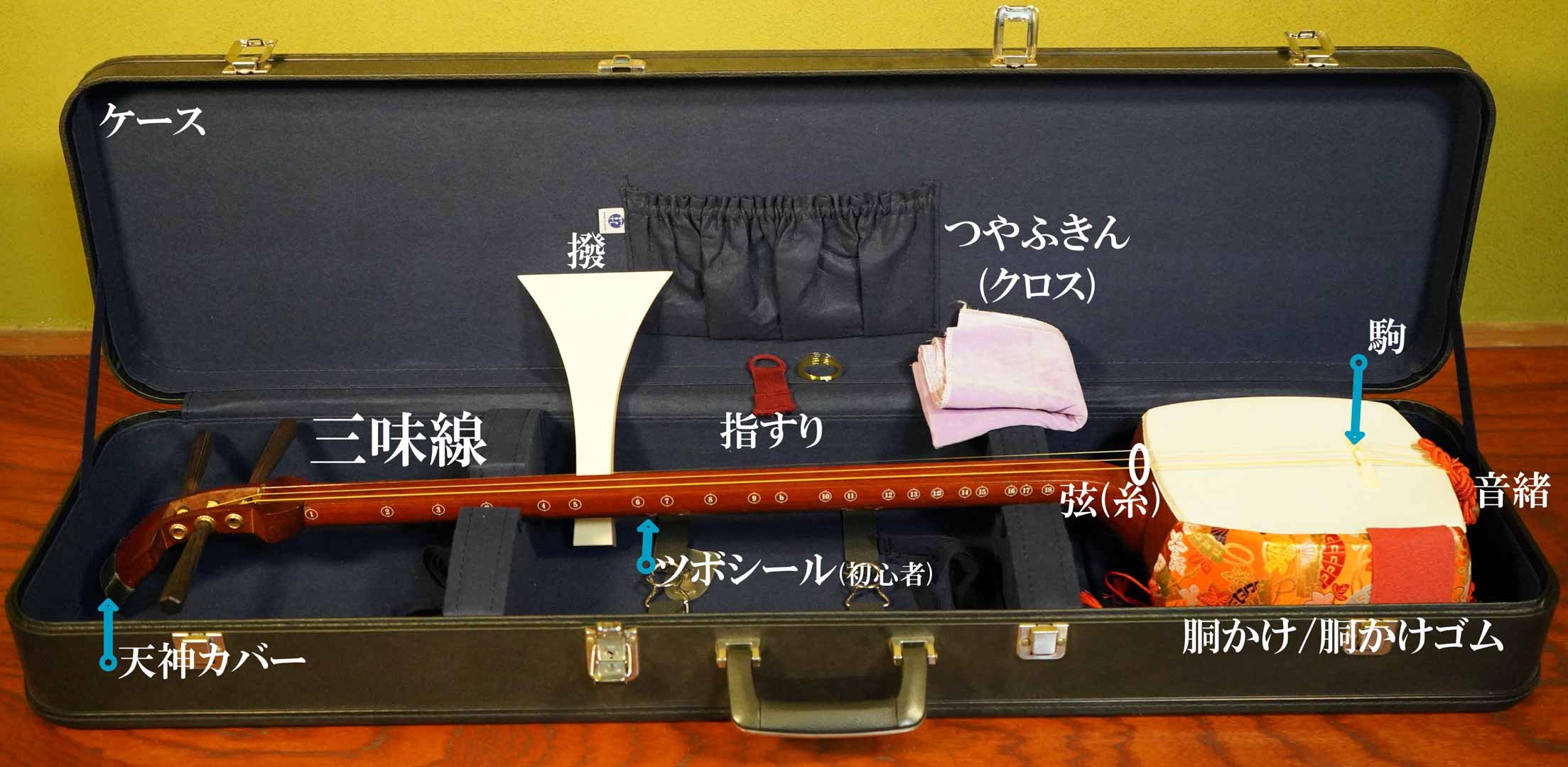 最新：三味線の選び方/価格相場・値段、お店、種類、材質、ジャンル