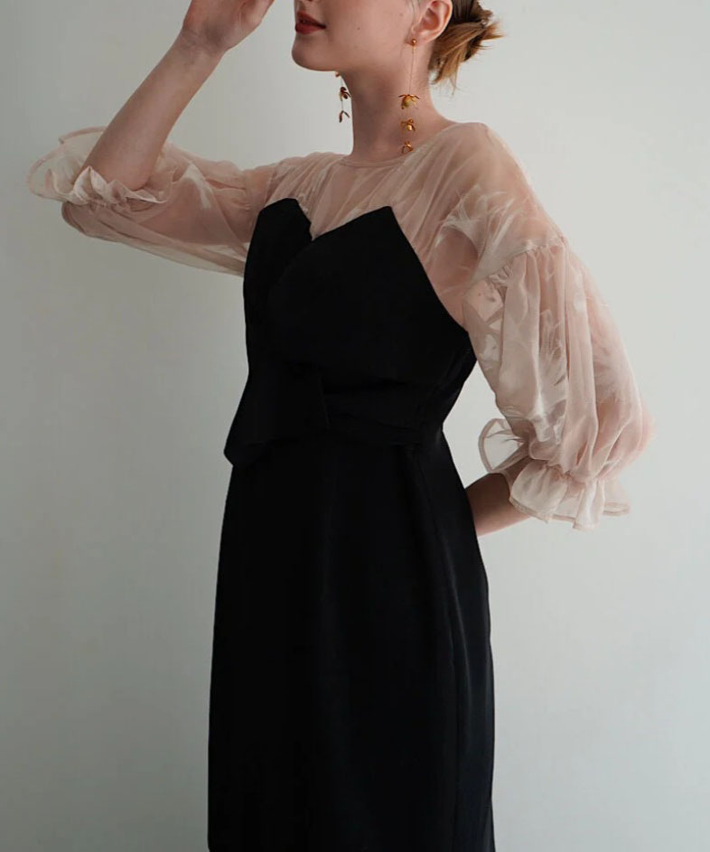 2サイズ】sheer puff dress（black） Acka.（エーシーケーエー）の
