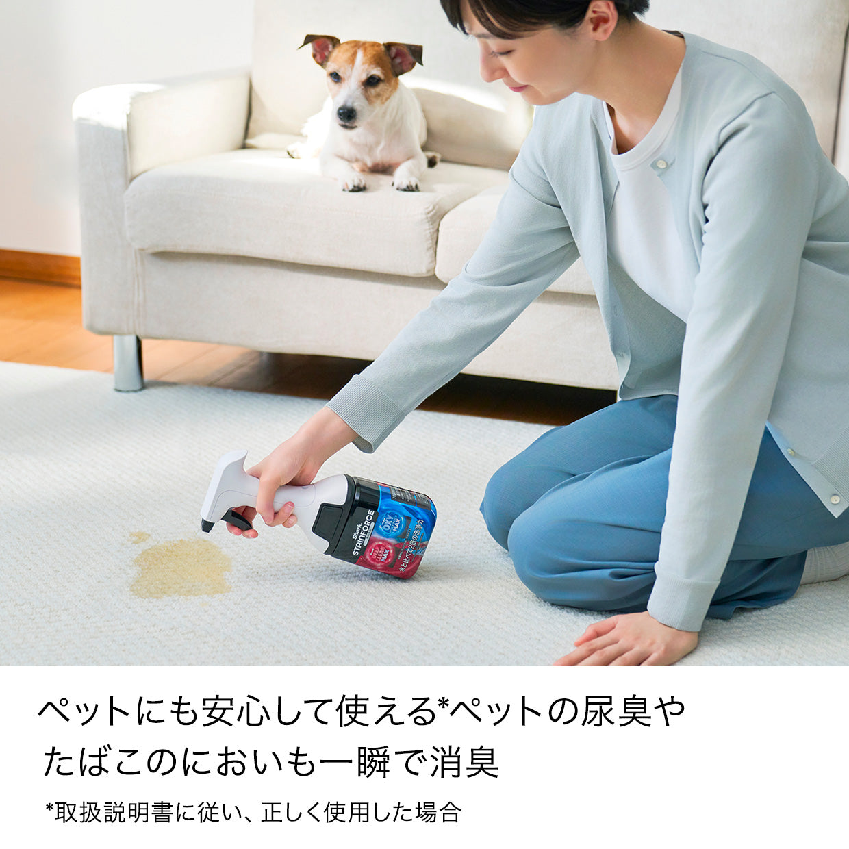 付け替え用】Shark StainForce コードレスシミ取りクリーナー 専用洗剤