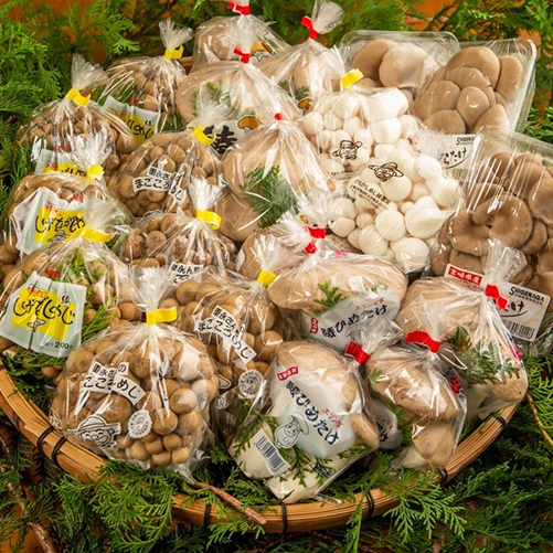 きのこ通販｜綾町にあるしげながきのこ綾観光農園で育てたきのこ