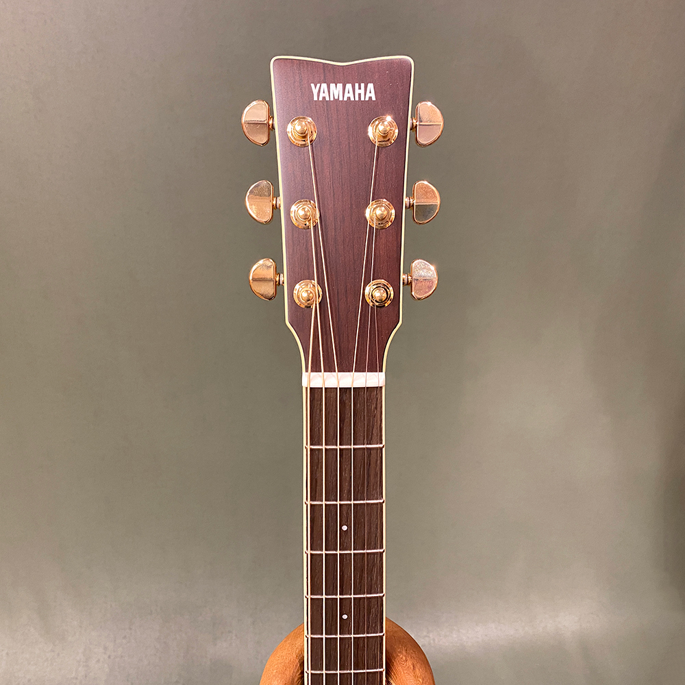 下倉楽器ウェブショップ / LL6 A.R.E. / DT