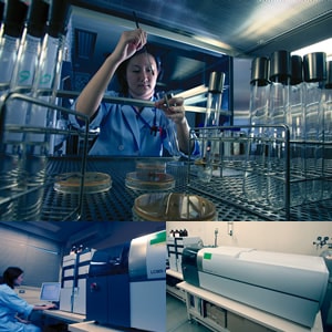 乳酸菌の秘密に迫る｜バックナンバー Vol.16｜島津製作所 広報誌 ぶー