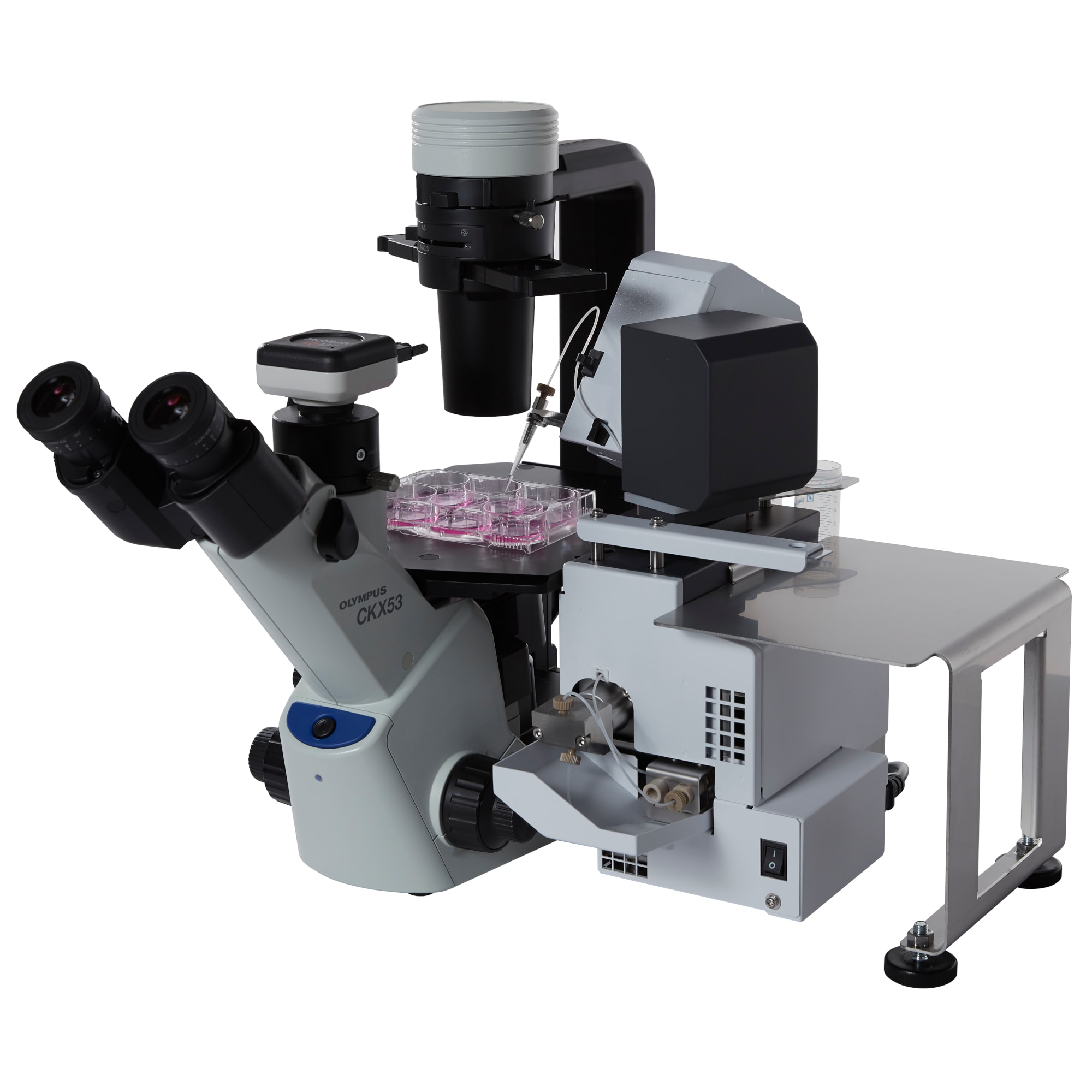 安定的な細胞培養を目指して | SHIMADZU TODAY | 島津製作所