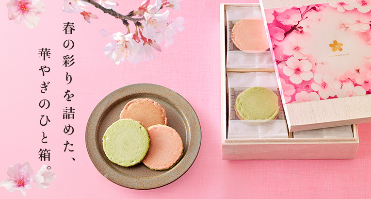 チーズバラエティセット えびとチーズの専門店SHIMAHIDE