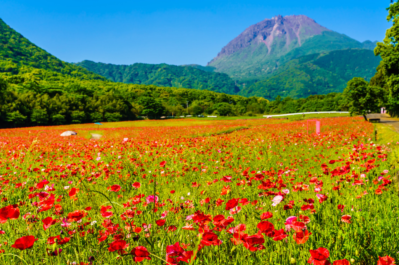 しまばら火張山花公園｜観光スポット｜島原半島公式観光サイト