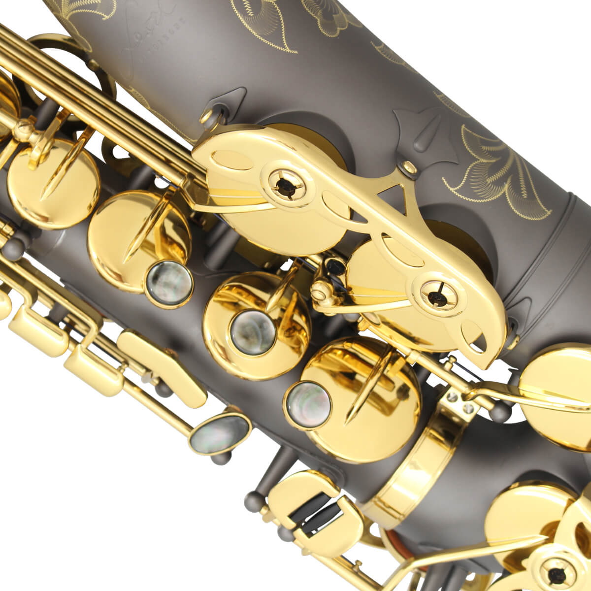 FAS-3000GML Festi オリジナルブランド | 島村楽器