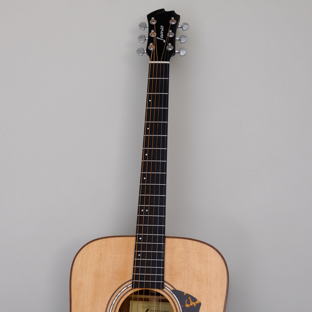 J-900/L James オリジナルブランド | 島村楽器