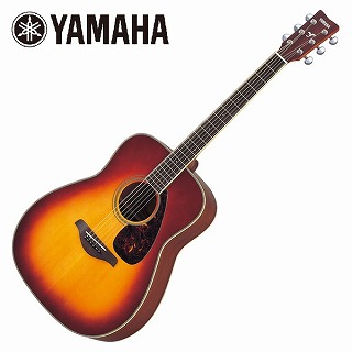 入門用アコースティックギター】ギター始めるなら島村楽器新浦安店へ