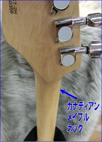 BUSKER'S(バスカーズ)より価格を超えた入門モデルエレキギター誕生