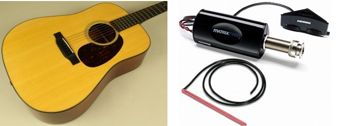 Martin with FISHMAN & HISTORY with L.R.Baggs ピックアップ弾き比べ