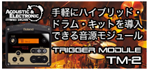 ハイブリッドキットのススメ ローランドV-Drums トリガーモジュール