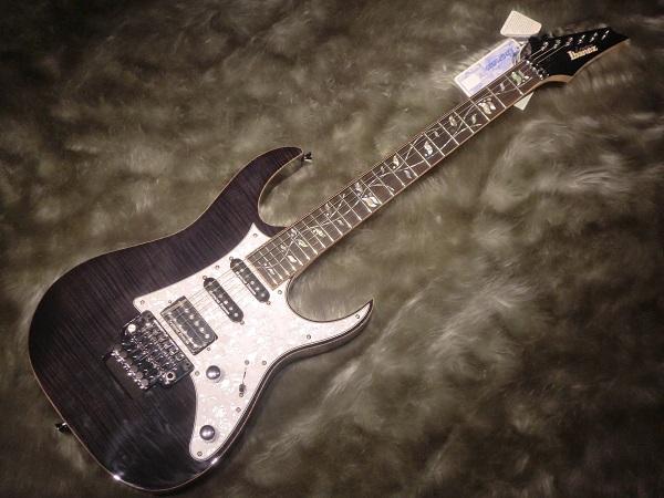 今年は音楽の年に！】シェクター＆アイバニーズがおススメ！｜島村楽器