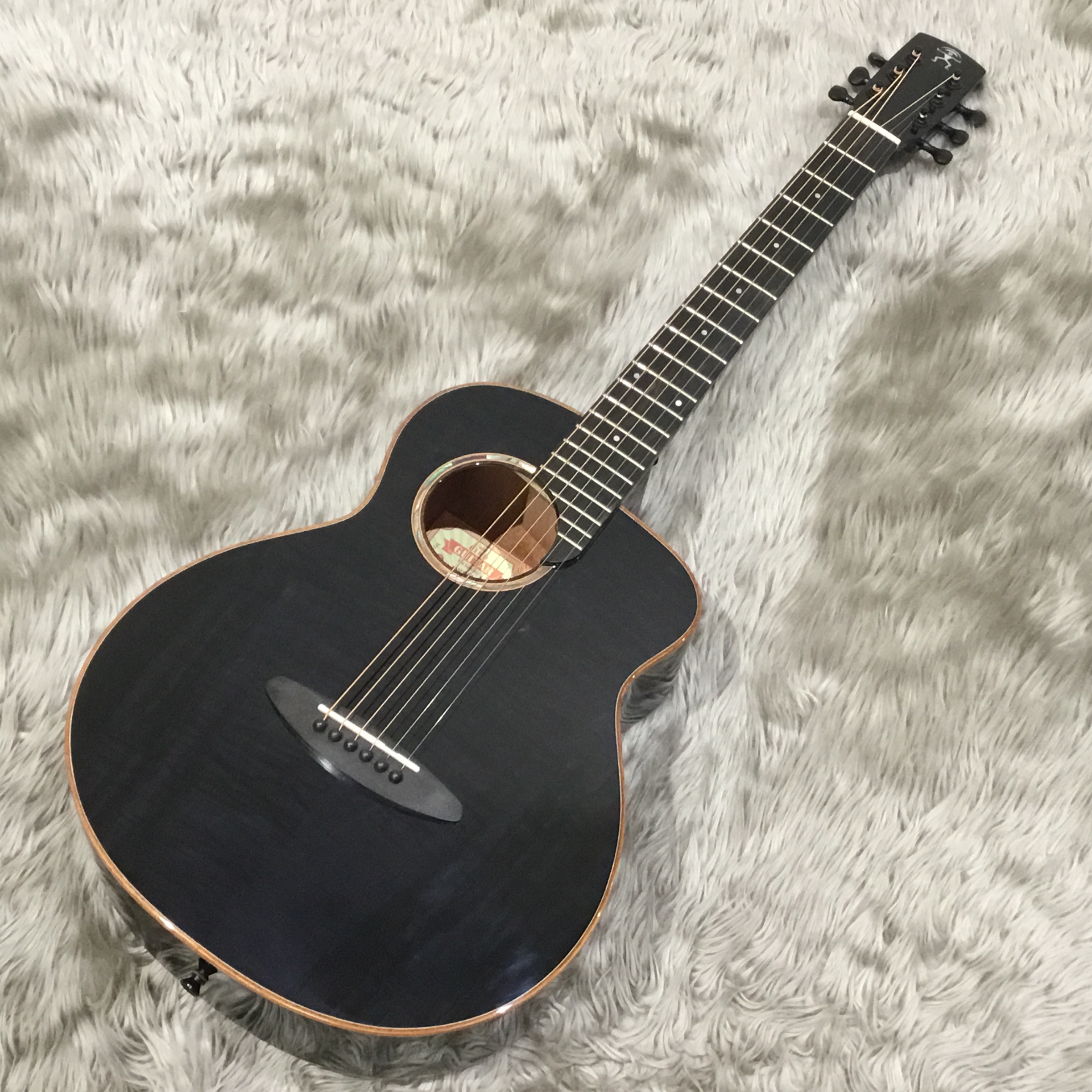 アコースティックギター】aNueNue（アヌエヌエ）ギター入荷！試奏動画