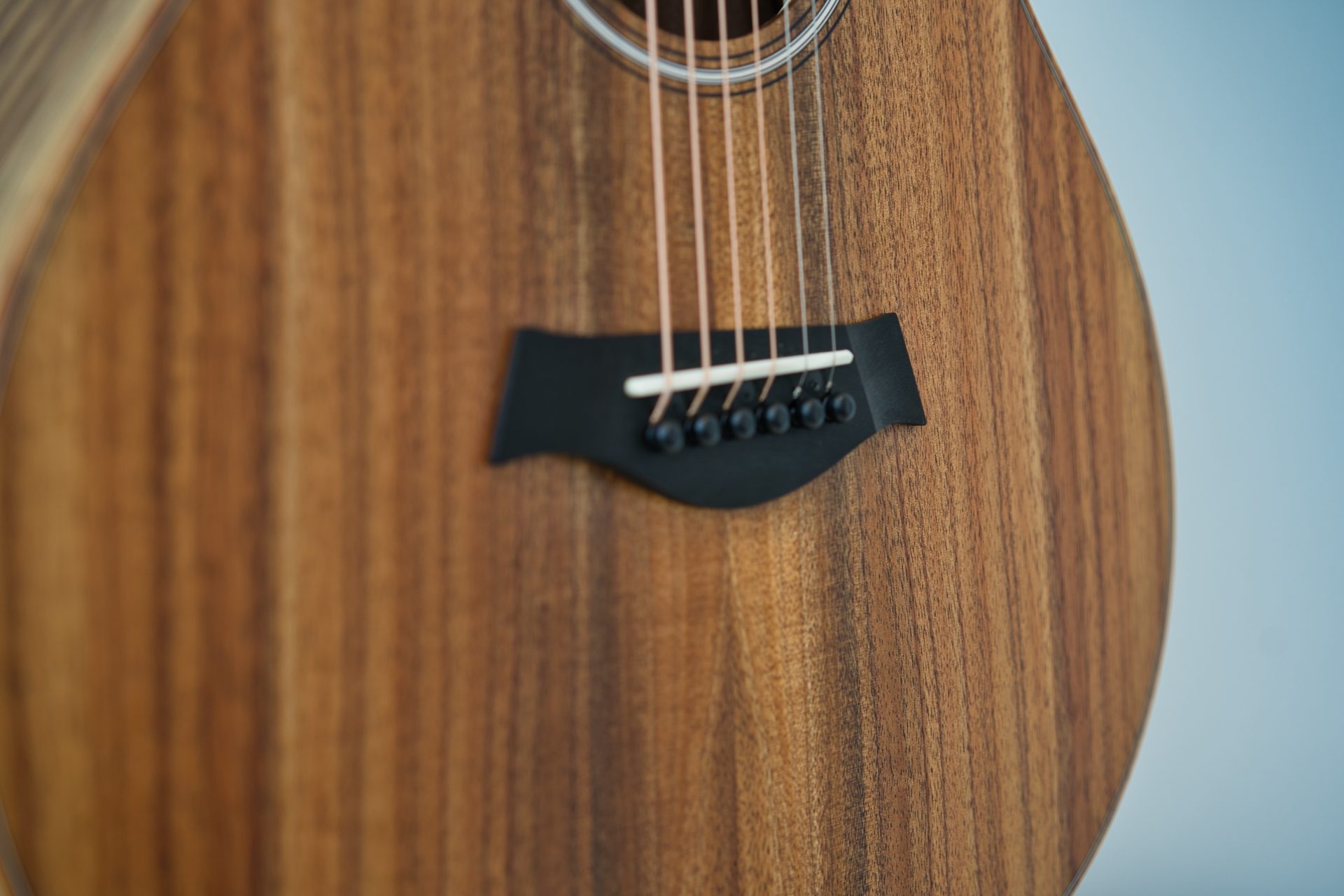 新品入荷】Taylor / GS Miniが二種類入荷しました！【GS Mini-e KOA